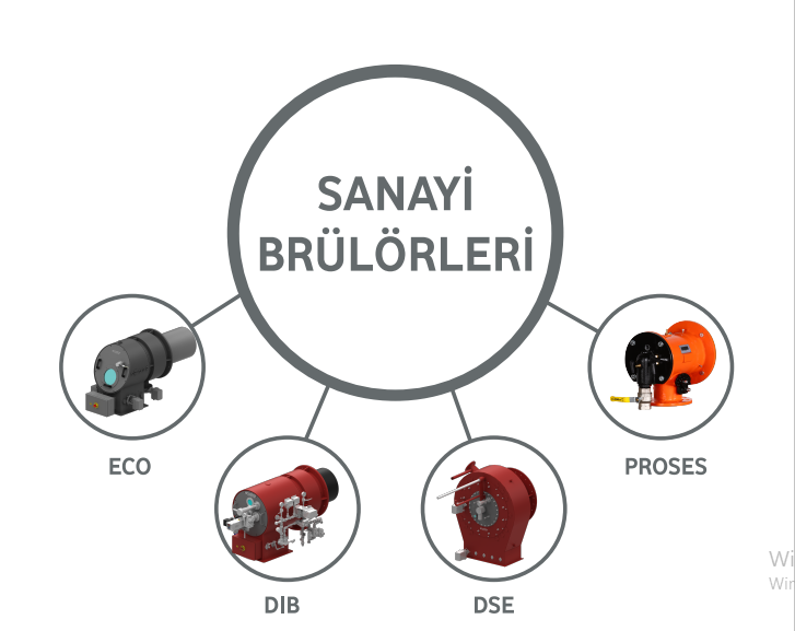Biyokütle Yakma Teknolojisi